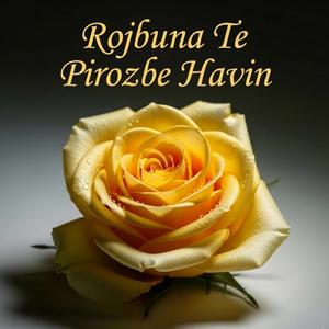 Rojbuna Te Pirozbe Havin (Kurdish Müzik)