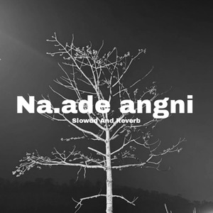 Na.ade angni (Slowed & Reverb)