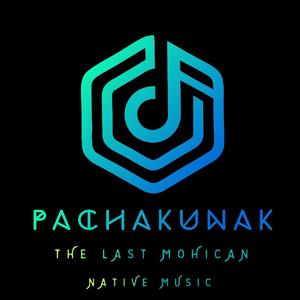 The Last Mohican (Special Version)