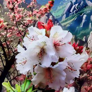 追逐最美的故事