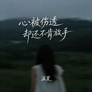心被伤透却还不肯放手