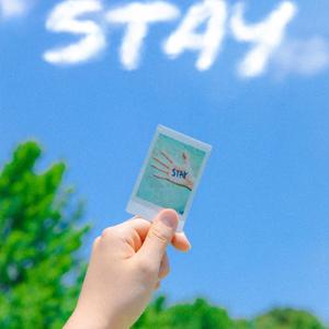 STAY