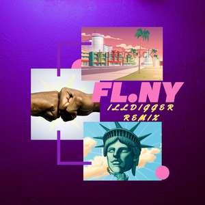 Fl.ny (ILLDIGGER REMIX)