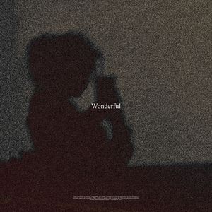 Wonderful