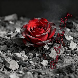 Rlse In The Fury（灰誓）