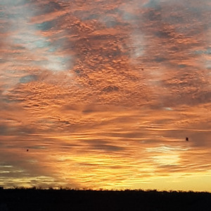 The Road to Sterling