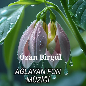Ağlayan Fon Müziği