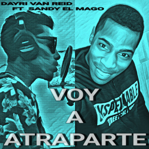 Voy a atraparte