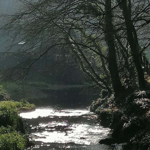 L'écriture des pierres décalage