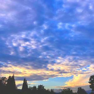 Who can save me(prod.by Rick1y)