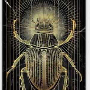 The Scarab