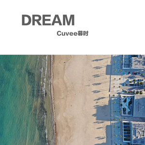 Colt.45（翻自 弹壳Danko）