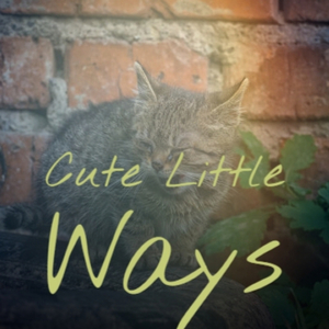Cute Little Ways