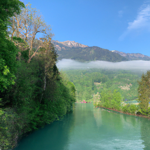 Feels Like Summer Again