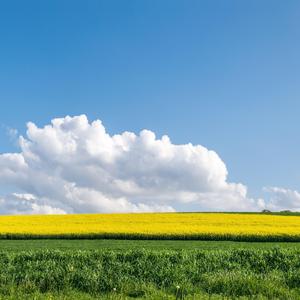 午后阳光的温柔(轻音乐)