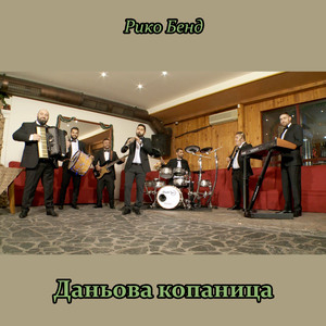 Даньова копаница