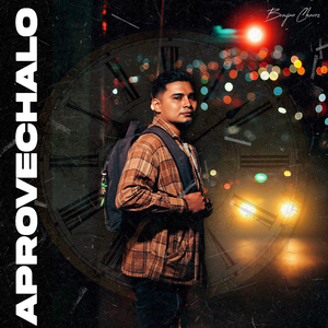 Aprovechalo