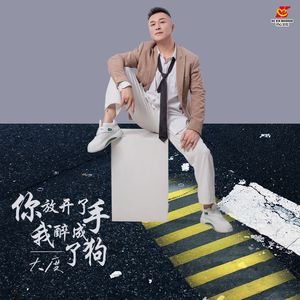 你放开了手我醉成了狗