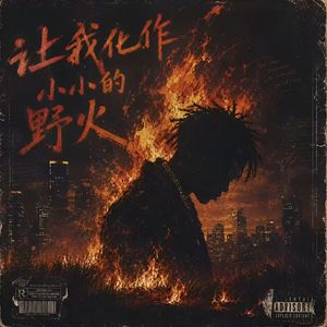 让我化作小小的野火
