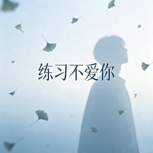 练习不爱你
