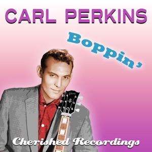 Put Your Cat Clothes On