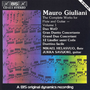 Grand duo concertant, Op. 85: I. Allegro maestoso