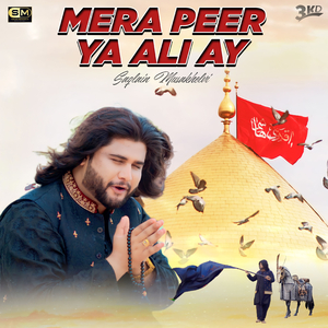 Mera Peer YA Ali Ay