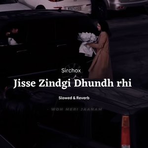 Jisse Zindgi Dhundh rhi hai (Slowed & Reverb)