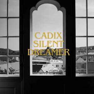 Silent Dreamer