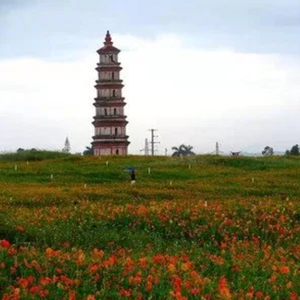 爱你直到我死去