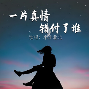 一片真情错付了谁