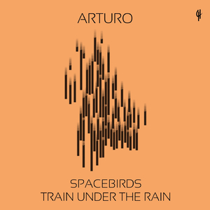 Train Under the Rain