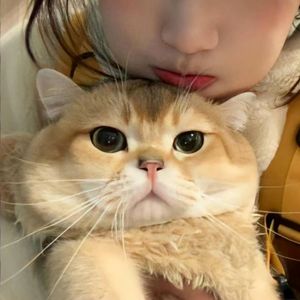 《幽韵抚心之空灵乐章》