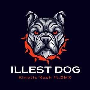 Illest Dog (feat. DMX)