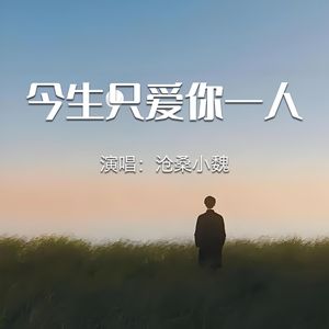 今生只爱你一人