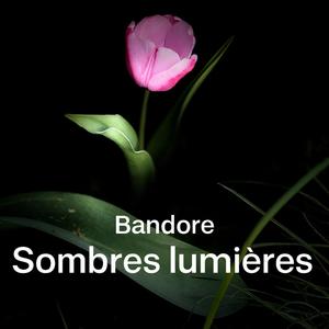 Sombres lumières