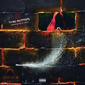 Plume Meurtrière (feat. DPillz)