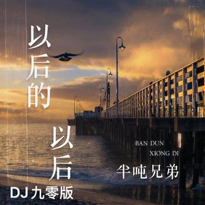 以后的以后 (DJ九零版)