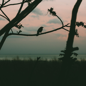 Corner Of The Seasons