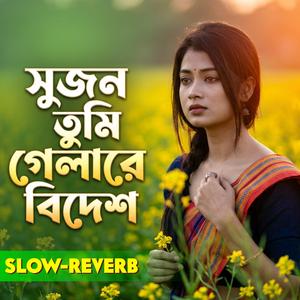 Shujon Tumi Gelare Bidesh | সুজন তুমি গেলারে বিদেশ (Slow-Reverb )