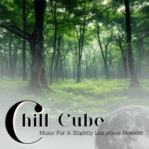 The Drip Drop of Coffee