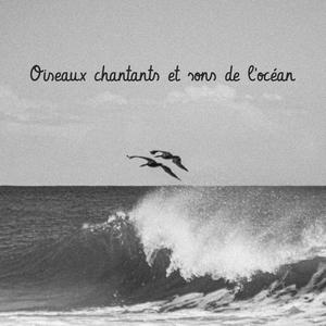 Musique pour piano et sons de la nature (Mélancolie)