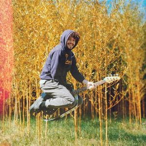 Les groupies du bassiste