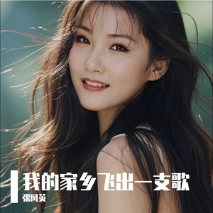 我的家乡飞出一支歌