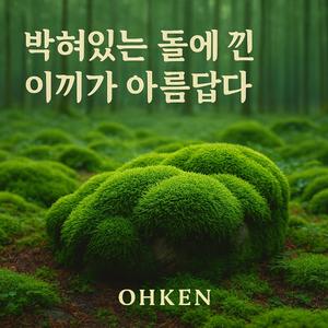 박혀있는 돌에 낀 이끼가 아름답다