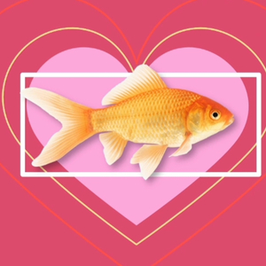 LALAL危（Cover 梅とら）