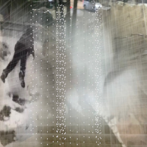 all the time in (white)