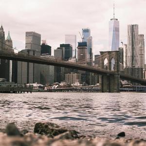 Ocean of Light (another)