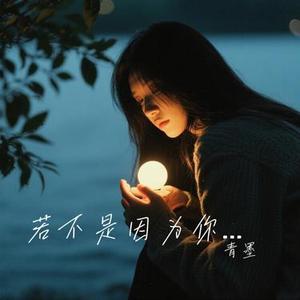 若不是因为你 (青墨 Remix）