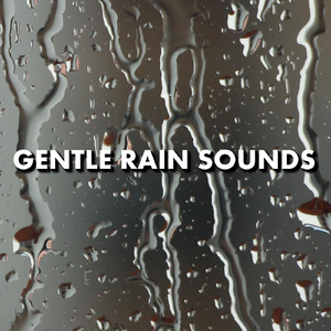 Rain Sound